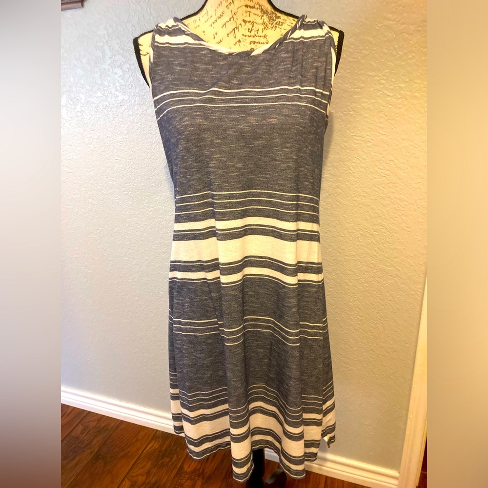 Max Studio Blue & White Dress